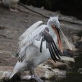 IMG_1592997