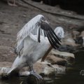 IMG_1592998