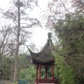 IMG_1593004