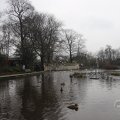 IMG_1593011