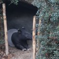 IMG_1593018