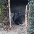 IMG_1593019