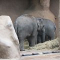 IMG_1593026