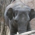IMG_1593028