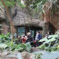 IMG_1593035