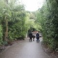 IMG_1593040