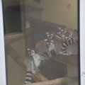 IMG_1593043
