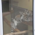 IMG_1593044
