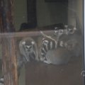 IMG_1593045