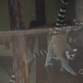 IMG_1593046