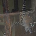 IMG_1593047