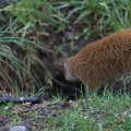 IMG_1593049