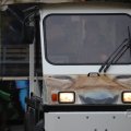 IMG_1593050