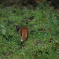 IMG_1593051