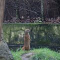 IMG_1593052
