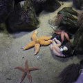 IMG_1593134