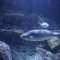 IMG_1593142