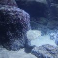 IMG_1593143
