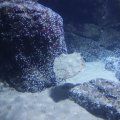 IMG_1593144