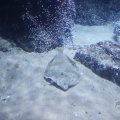 IMG_1593145