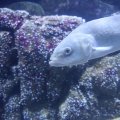 IMG_1593150