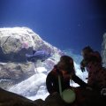 IMG_1593153