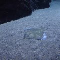 IMG_1593155