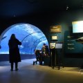 IMG_1593169