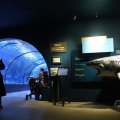 IMG_1593171
