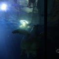 IMG_1593178