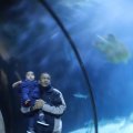 IMG_1593181