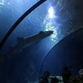 IMG_1593190