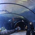IMG_1593192