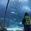 IMG_1593196