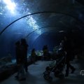 IMG_1593201
