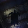 IMG_1593211