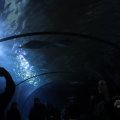 IMG_1593218