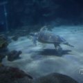 IMG_1593221
