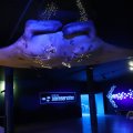 IMG_1593222