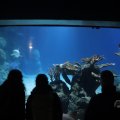 IMG_1593224