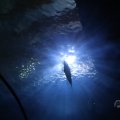 IMG_1593233