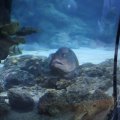 IMG_1593239
