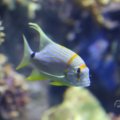 IMG_1593274