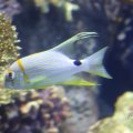 IMG_1593277