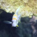 IMG_1593278