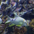 IMG_1593280