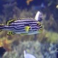 IMG_1593283