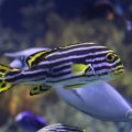 IMG_1593284