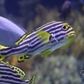 IMG_1593285