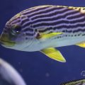 IMG_1593292